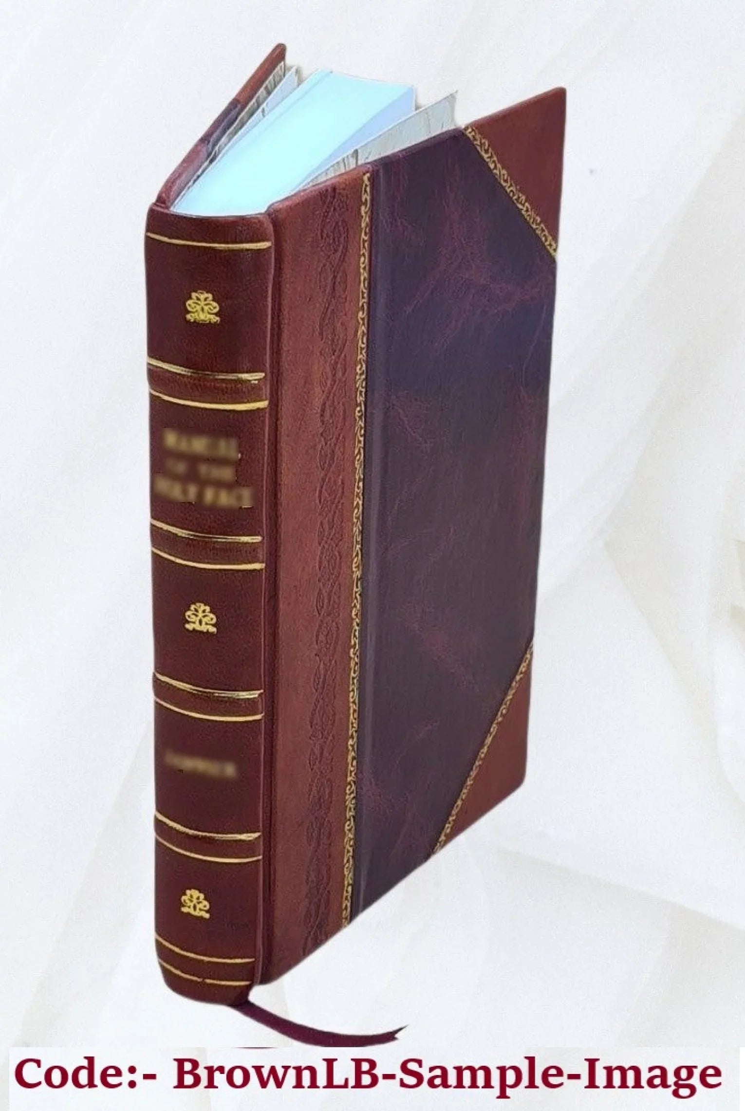 Detroit street guide. 1930 edition, showing location of all streets, nearest car lines, map of the city ... United News Co., distributors. 1930 [Leather Bound]