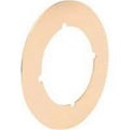 Plate Cover 3-1/2 In Brs Pltd U 9524