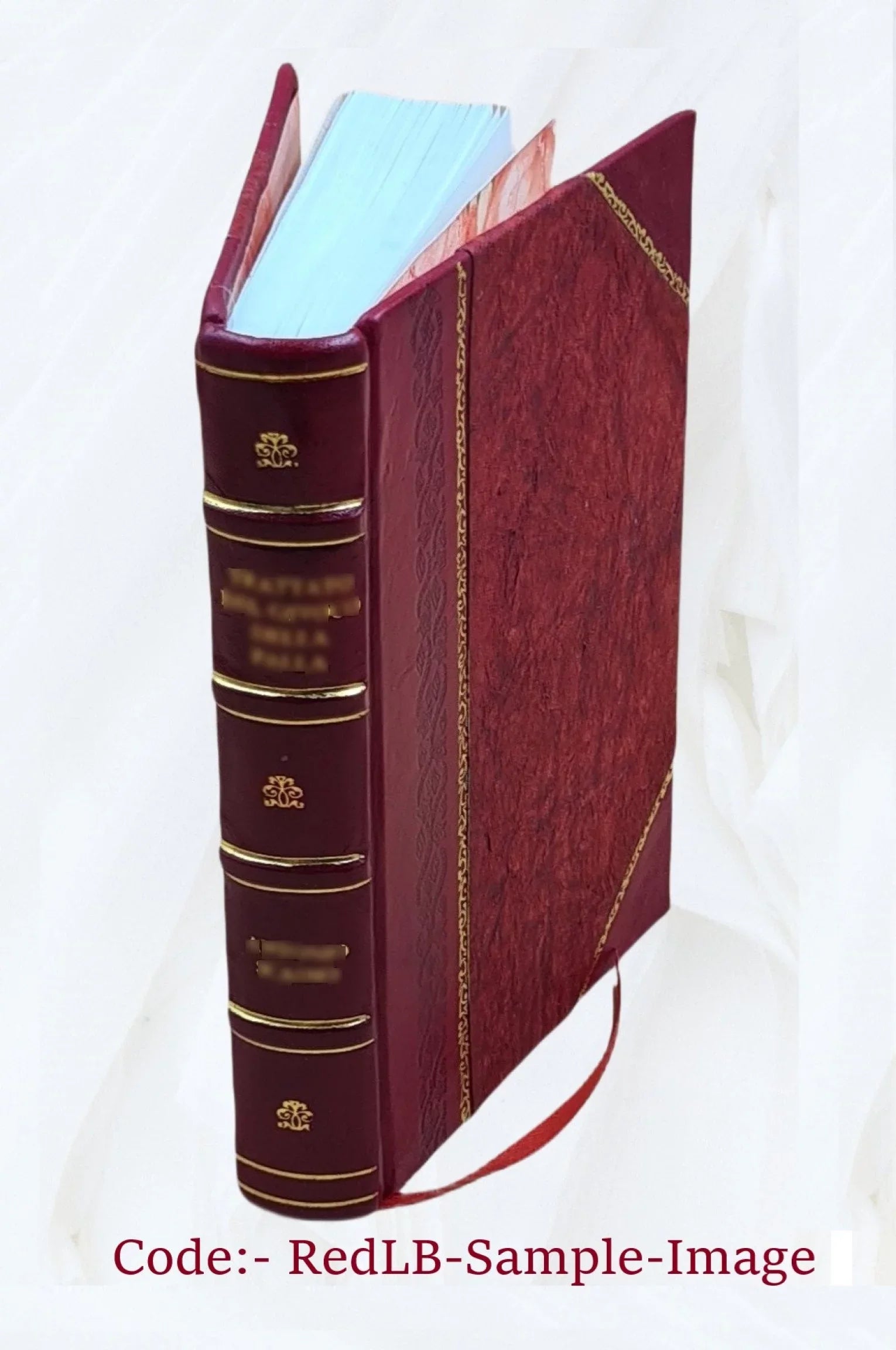 Sizecorpion A Good Bad Horse 1916 [Leather Bound]