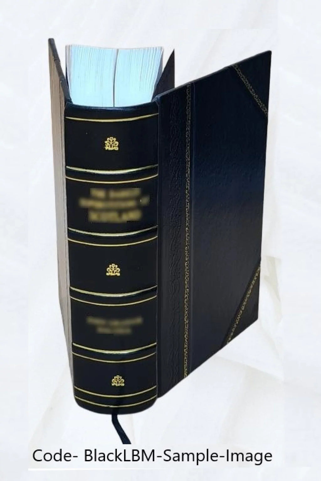 Burke's speech at the impeachment of warren hastings 1903 [Leather Bound]